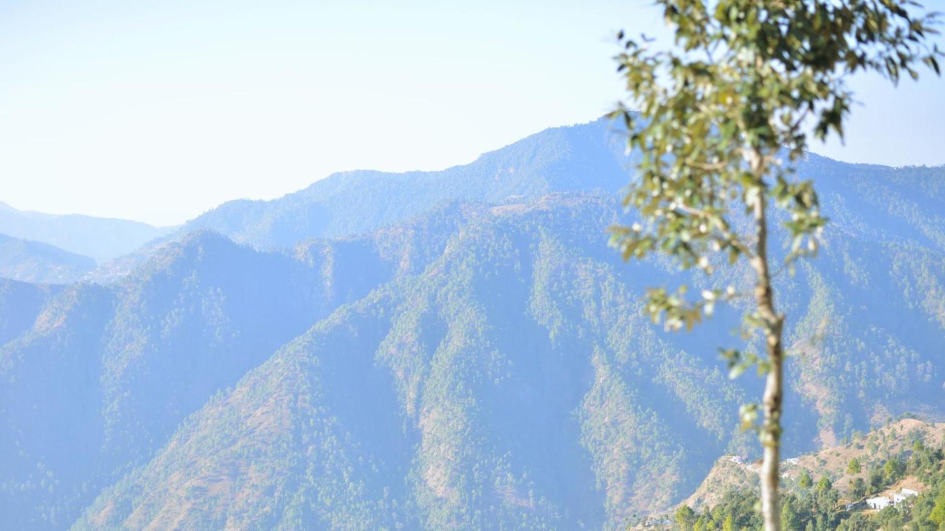 Haut Monde King'S Paradise Resort Kanatal Ngoại thất bức ảnh