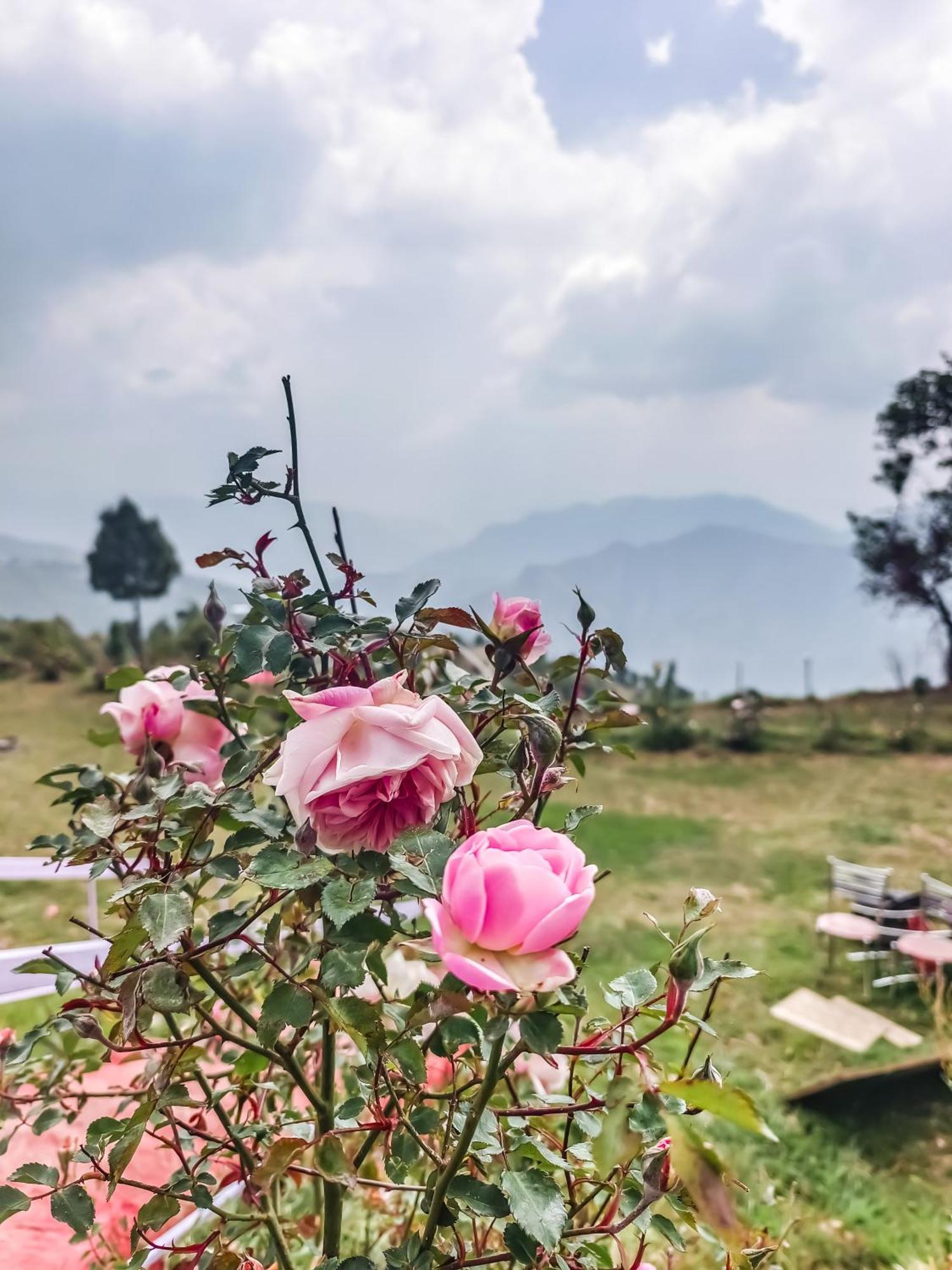 Haut Monde King'S Paradise Resort Kanatal Ngoại thất bức ảnh